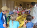 1-IMG_4826
