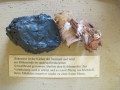 1-IMG_4830