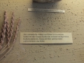 1-IMG_4845