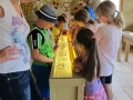 1-IMG_4846