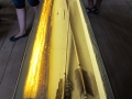 1-IMG_4849