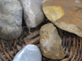1-IMG_4870